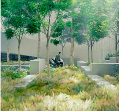 Un giardino che cresce tra muri di cemento