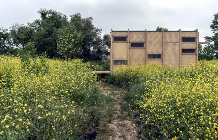 The plywood cabin half hidden in a field of yellow mustard flowers under a grey sky, a path trodden through to it