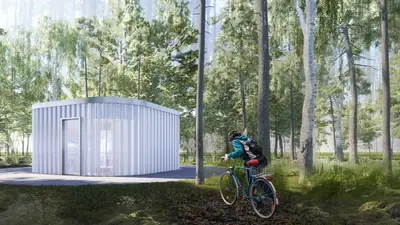 A pale ribbed box in a birch forest, a cyclist riding past