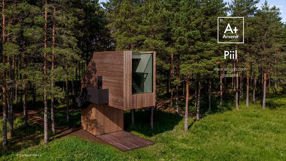 Piil: a timber treehouse on a single leg in a pine forest, the Arsenit name beside it