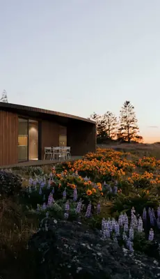 The black timber lodge at dusk behind flowering shrubs and purple lupins