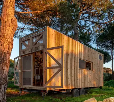 A timber tiny house on wheels under pine trees, its big front window lit by the sun