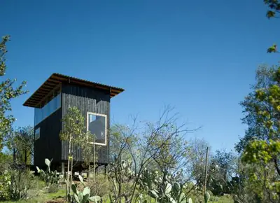 A black charred-timber cabin on stilts among cacti and shrubs under a blue sky