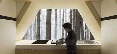 A man at a kitchen counter in a timber room, a wide window onto pale tree trunks