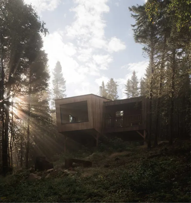 Two timber shelters on slender legs among tall trees, low sun breaking through the branches