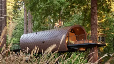 A barrel-shaped treehouse with a lit round window among redwoods, a deck around it and tall grasses in front