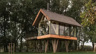 A glass-walled house with a steep shingled roof raised on timber legs among trees