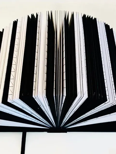 The notebook standing open, its black and white pages fanned out