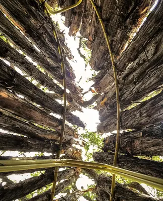 The Potential of Public Art, de Elizabeth Farrell
