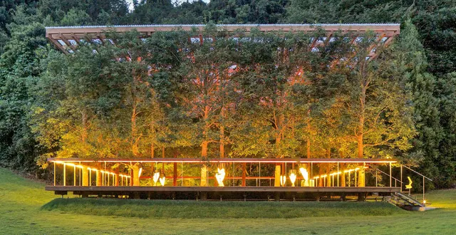 The whole arbor lit from below at dusk against the dark forest