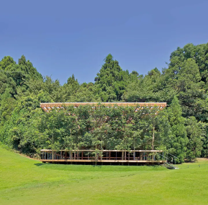 The arbor on a lawn at the edge of a forest, its thin flat roof held among the trees