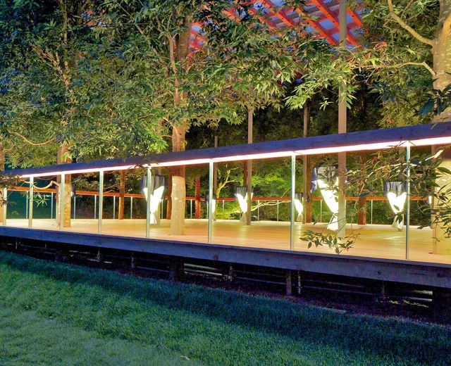 The arbor at night: a glass railing and lit tree trunks along its timber deck