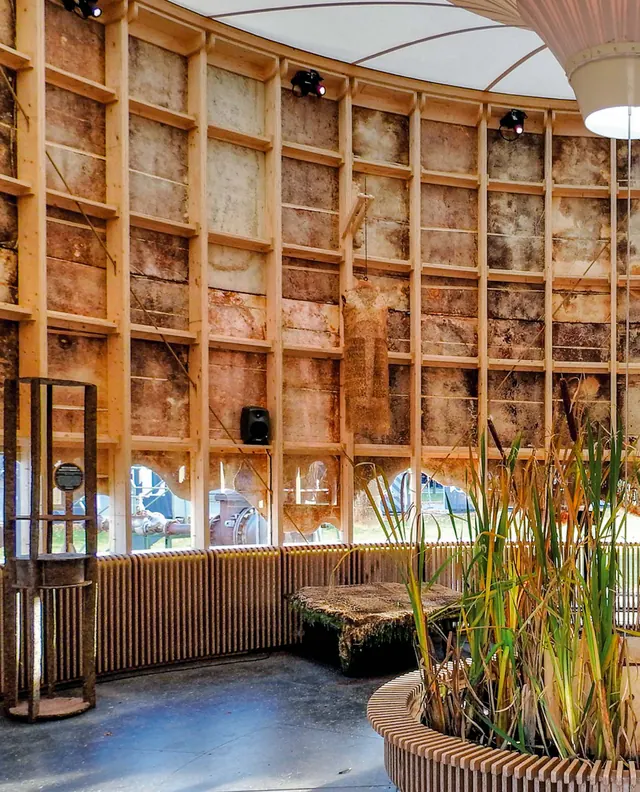 Inside: a timber frame lined with mycelium panels around a planter of cattails
