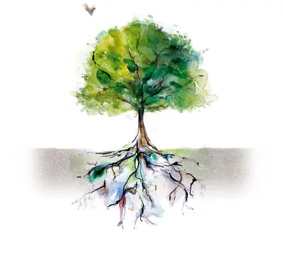 Re-defining Sustainability: Integrating the Perspective of Health, by Denise Santini