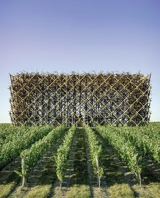House of Bacchus, by Kenan Vatrenjak